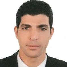 Tamer Bakr Osman Radwan, دكتوراه في القانون