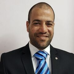 Ali Aboelseoud Ali Elnaggar, Construction team leader