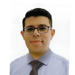 محمد يحيي عبد العزيز يونس, Business Unit Manager