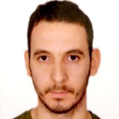 مصطفى Amaragi, Senior software developer
