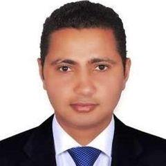 Moustafa Abouelwafa Elnabawi Mohamed, Government Relation Manager