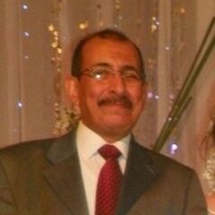 Alaa Gharieb Ahmed Ahmed Abou-Eita, Finance & Administrative Manager