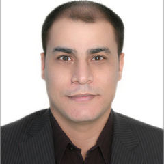 Mohamed Amin, PMP®, CBAP®, Project Manager / FICO Lead Consultant