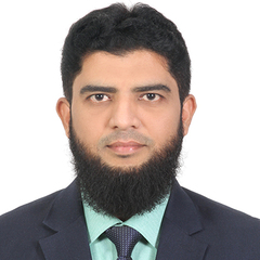 Ilyas Mohammed, Lead Business Analyst