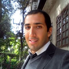 Ossama Tarek, Banker