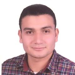 mahmoud Elsayed, Oracle Developer,IT Manager