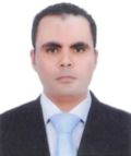 Mohamed Abdel-Aal, IT Consultant