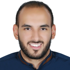 Mostafa Ekram Saad Ahmed Ibrahim, Package Manager