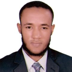 Mostafa Fathi Abdel-kader Mahmoud