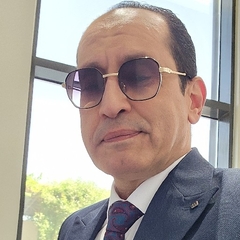 أحمد البرهمتوشى, مدير تنفيذي