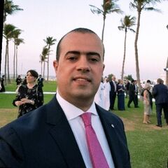 Hussein Elkashef, Sales Manager
