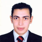 Mohamed Rageh Sobh, مهندس تخطيط عمرانى