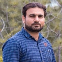 Muhammad Javed Iqbal, Lead Flutter Developer (Remote/Contract)