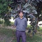 Zeeshan Naeem