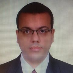 سيف حجازين, Senior Business Consultant