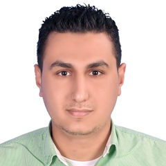 محمد طلعت محمد عبداللاه نوار, اخصائي مساحة وخرائط