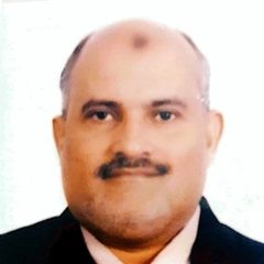 mostafa elbisi, مدير عام مبيعات