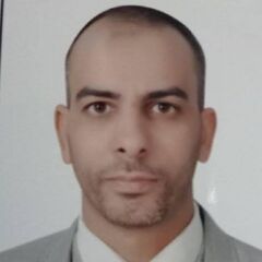 Ayman Sanousy, Lawyer