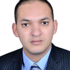Ahmed Sharara, Senior Accountant