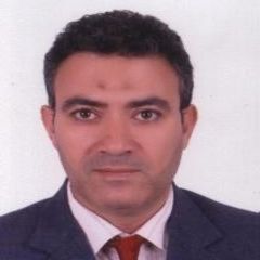 Ahmed Mohamed Mohamed Atwa, مدير عام الميزانية والموازانات