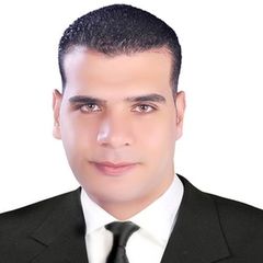Ahmed Elhawary, مهندس تنفيذ