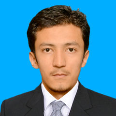 karrar hussain, management associate