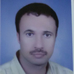 Mohamed Elsayed, Senior Accountant 