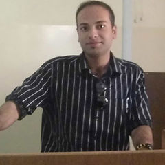 إبراهيم كنعان, Asp developer