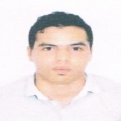 رياض مفتاحي, English instructor