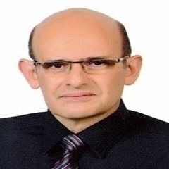 أحمد ثابت, Senior Contracts Specialist