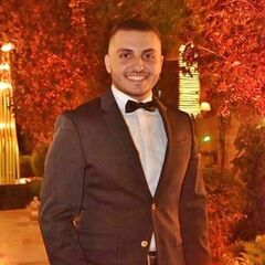 ahmad mustafa, Software Engineer