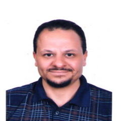 Alaa Abdel Aziz Fahmy Hashad, Electrical consultant engineer