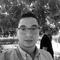Maher Abousamrah, Project Manager