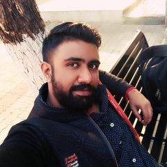 Sreenesh B, Survey Programmer