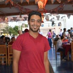 Mostafa Mohamed Helmy Mohamed Abd El Hafez