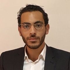 Youssef  Mezouar, Consultant