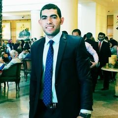 أحمد عدلي, Financial Analyst