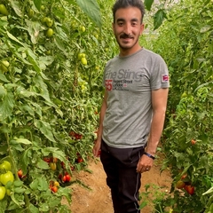 Moamen Galal, مهندس زراعي