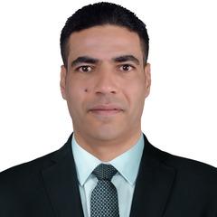 hany ELAWAH, Financial Manager