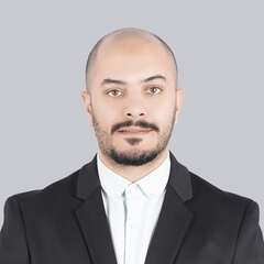 khaled walid, management consultant