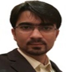 Hussain Mansoor, Internal Audit Consultant