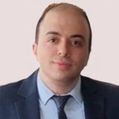 Hossam Abdelnaby Ahmed Mohamed