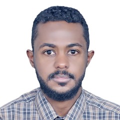 Abdalla emadeldin elshakh