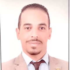 Mahmoud Mohammed Mohammed  Seada