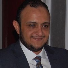 Mohamed Kamal Elemam, Financial Controller 