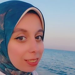 Noura Hossam Hussein