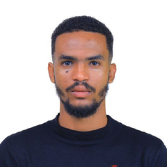 Dagim  Mengistu , Banker
