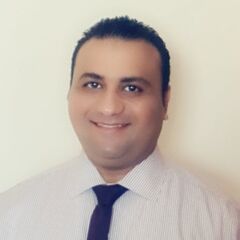Mostafa Alshimi, Senior IT Project Manager
