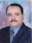 Omar Elkadry, sales manager
