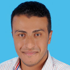 Ahmed Mahmoud Ahmed Seddik, Senior Commercial Visa Services Coordinator (B2B) - Networking & Planning Department